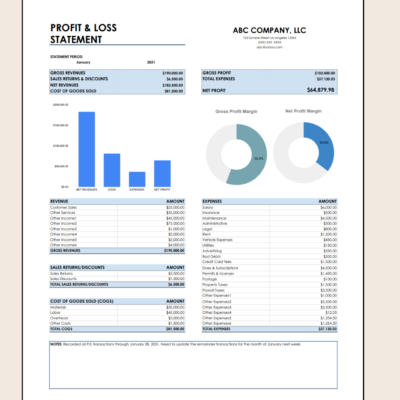 Profit and loss statement for one month: gross and net revenues, cost of goods sold, gross profit, expenses and net profit, with a bar chart, gross and net profit margin charts and a notes box.