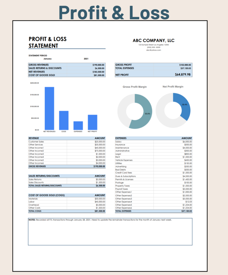 Profit and loss statement for one month: gross and net revenues, cost of goods sold, gross profit, expenses and net profit, with a bar chart, gross and net profit margin charts and a notes box.