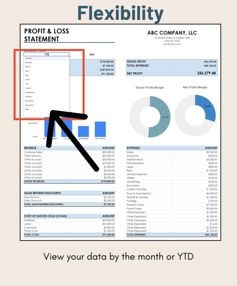 Profit and loss statement: view data by month or year to date from the drop-down list.