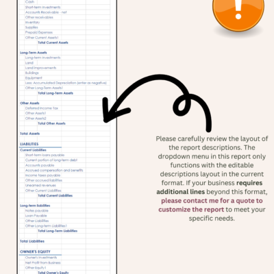 Balance sheet report descriptions can be edited within the current layout. Businesses that need more lines can ask for a quote to customize the report.