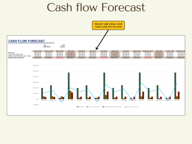 Cash flow forecast: project revenue, cost of goods sold and operating expenses by month and quarter, with a projected cash flow chart for the year.