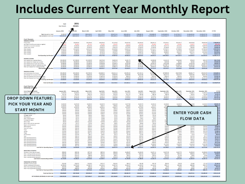 Current year monthly cash flow report: pick the year and start month, then enter cash flow data by month.