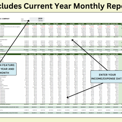 Current year monthly profit and loss report: pick the year and start month, then enter income and expense data by month.