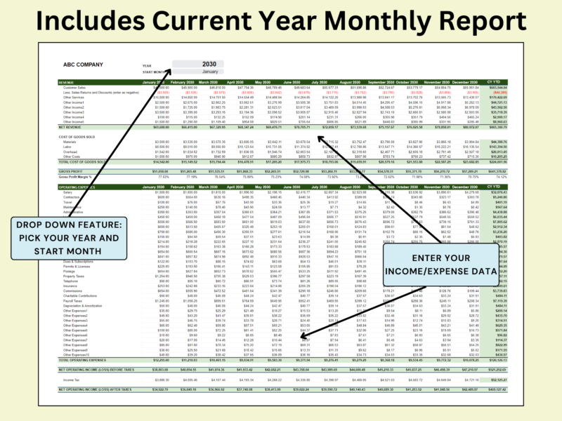 Current year monthly profit and loss report: pick the year and start month, then enter income and expense data by month.
