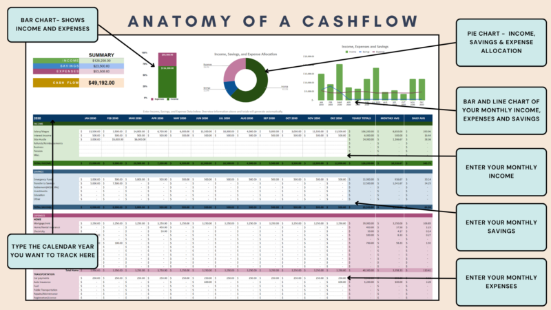 Labeled personal cash flow: type the calendar year, enter monthly income, savings and expenses, and see a summary bar chart, a pie chart of allocation, and bar and line charts of the monthly figures.