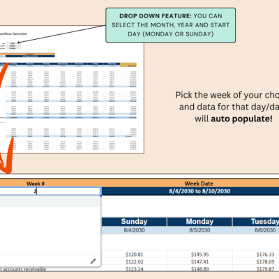 Pro daily and weekly cash flow: select the month, year and start day, then pick the week; that week's data fills in.
