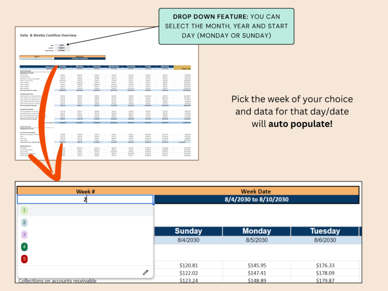 Pro daily and weekly cash flow: select the month, year and start day, then pick the week; that week's data fills in.