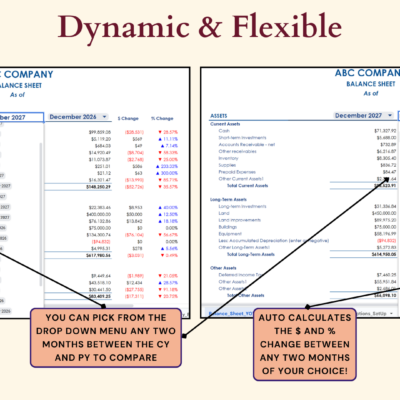 Balance sheet comparison: pick any two months from the current and prior years to compare, and the dollar and percent change are calculated.