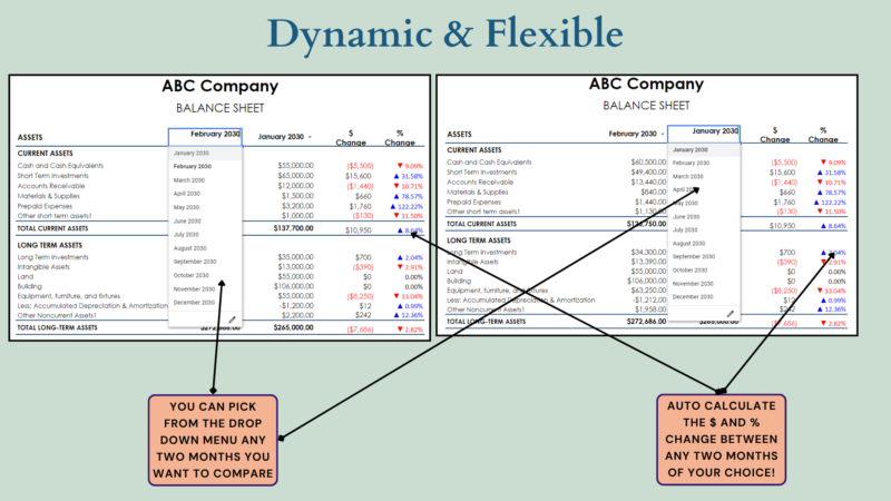 Balance sheet comparison: pick any two months from the drop-down lists, and the dollar and percent change are calculated.