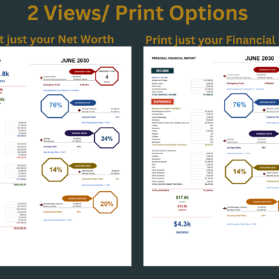 35 Two print options: print just the net worth, or just the financial report.