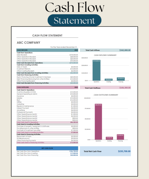 Cash flow statement for a sample company for one year: cash inflows and outflows from operations, investing and financing, with inflow and outflow summary charts and total net cash flow.