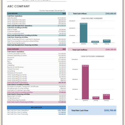 Cash flow statement for a sample company for the year: cash inflows and outflows by activity, inflow and outflow summary charts, and total net cash flow.