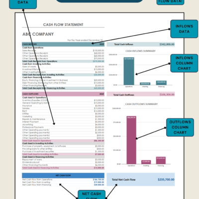 Labeled cash flow statement: inflows and outflows data with column charts summarizing inflows and outflows by activity, and a net cash flow summary.