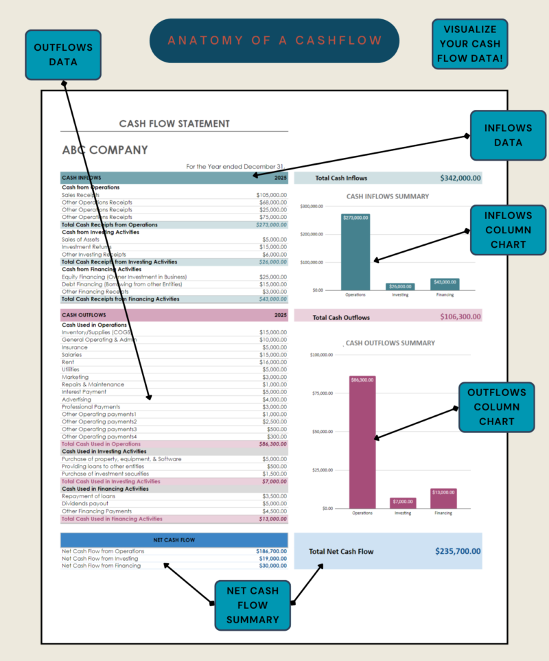 Labeled cash flow statement: inflows and outflows data with column charts summarizing inflows and outflows by activity, and a net cash flow summary.