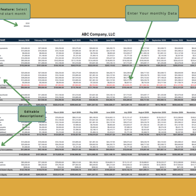 Balance sheet data entry: select the start month, enter monthly data, and edit the descriptions.