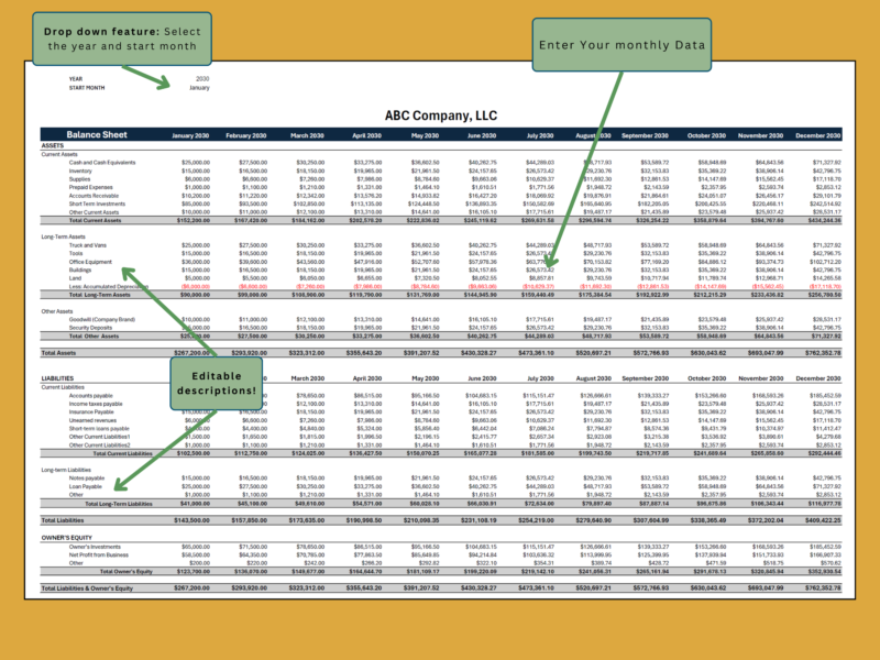 Balance sheet data entry: select the start month, enter monthly data, and edit the descriptions.