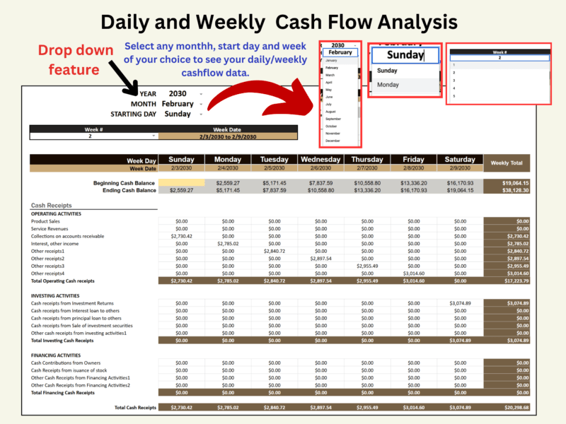 Daily and weekly cash flow analysis: select the month, start day and week to see beginning and ending cash balances and cash receipts by activity for each day, with a weekly total.