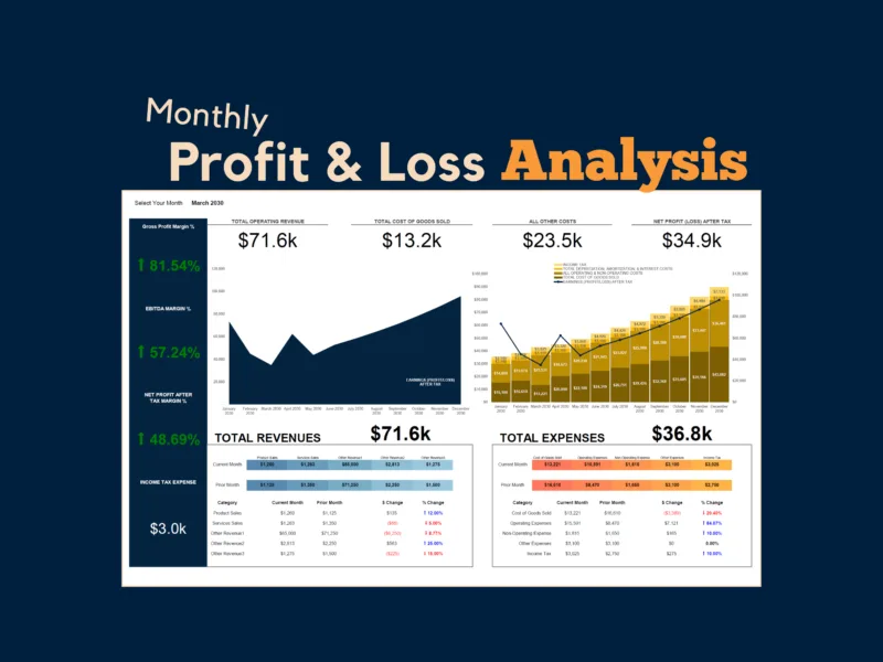 Monthly profit and loss analysis for a chosen month: total revenue, cost of goods sold, other costs and net profit, gross, EBITDA and net profit margins, monthly charts, and revenues and expenses compared with the prior month.