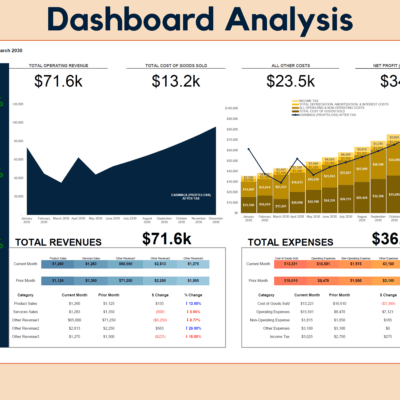 Profit and loss dashboard analysis for a chosen month: operating revenue, cost of goods sold, other costs and net profit after tax, gross, EBITDA and net profit margins, monthly charts, and revenues and expenses compared with the prior month.