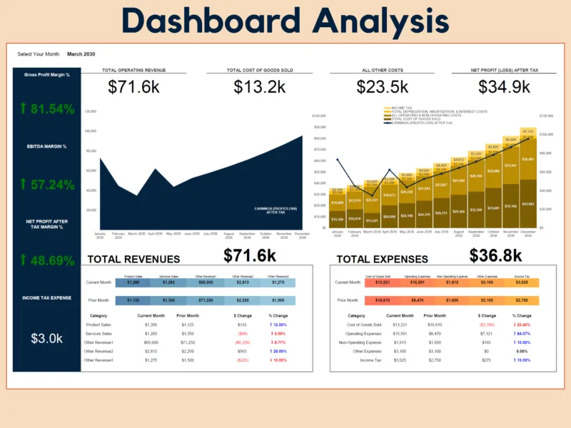 Profit and loss dashboard analysis for a chosen month: operating revenue, cost of goods sold, other costs and net profit after tax, gross, EBITDA and net profit margins, monthly charts, and revenues and expenses compared with the prior month.
