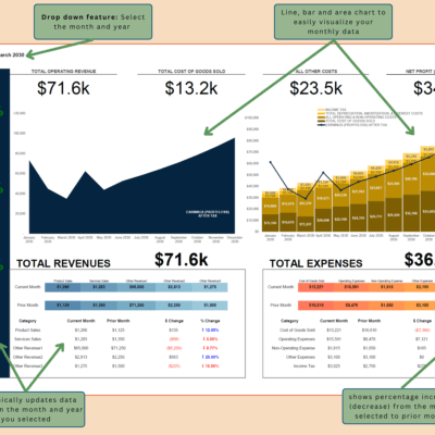 Profit and loss dashboard with notes: select the month and year, line, bar and area charts show the monthly data, and the percent change from the prior month is shown.