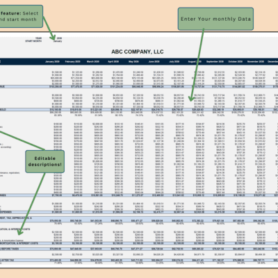 Profit and loss data entry: select the start month, enter monthly data, and edit the descriptions.