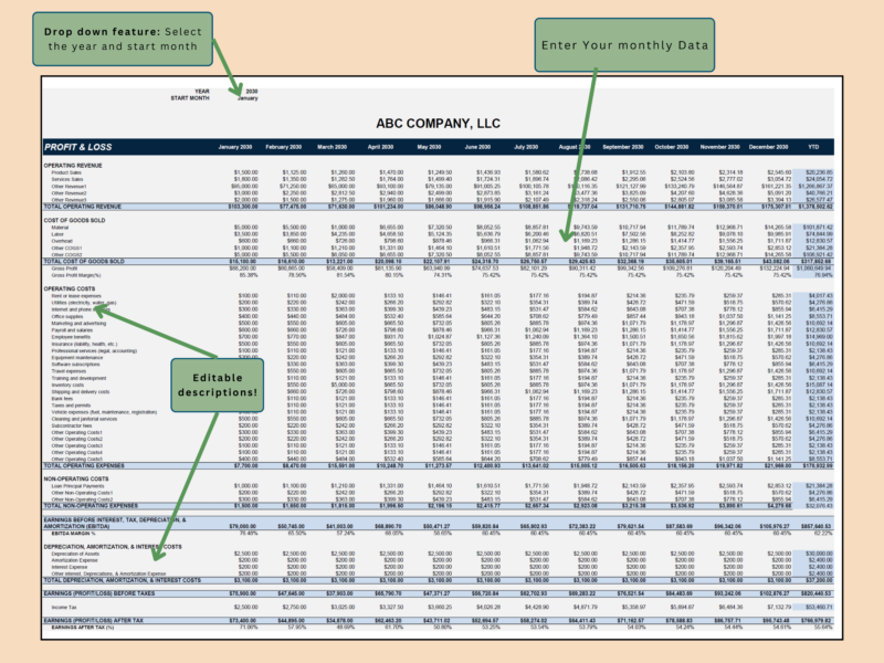 Profit and loss data entry: select the start month, enter monthly data, and edit the descriptions.