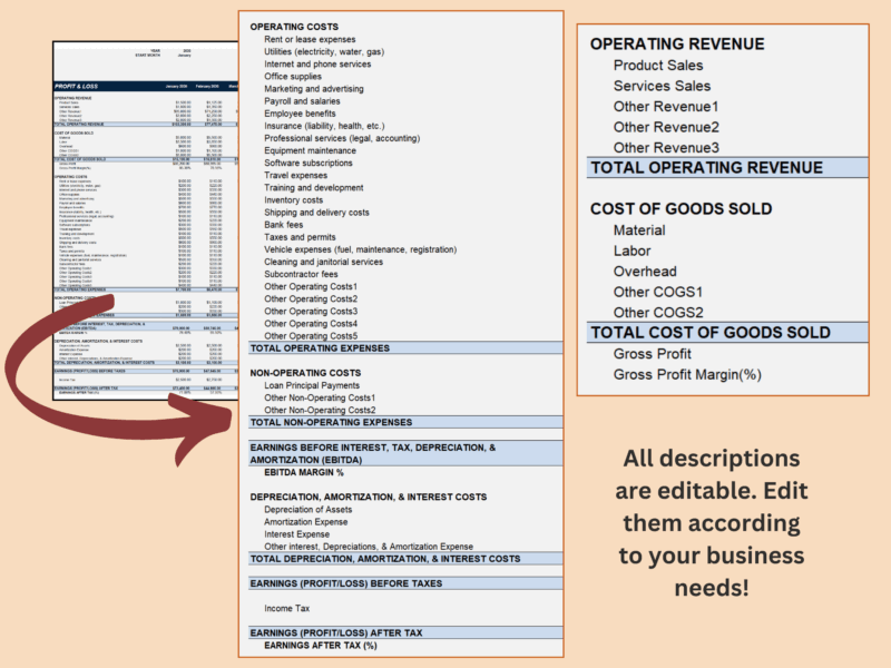 Profit and loss lines for operating revenue, cost of goods sold, operating and non-operating costs, depreciation, amortization and interest, and income tax; all descriptions can be edited.