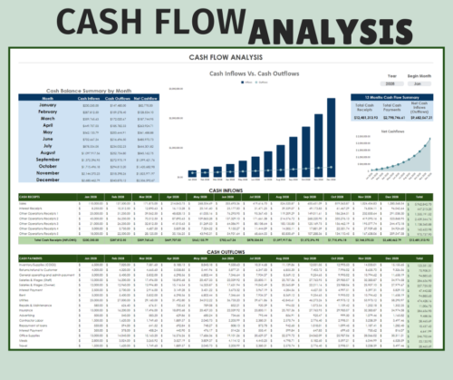 Cash flow analysis for 12 months from a chosen start month: cash inflows, outflows and net cash flow by month, a 12-month summary, charts of inflows versus outflows and of net cash flows, and cash receipts and payments by type.