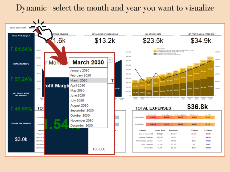 Profit and loss dashboard month selector: choose the month and year to see.