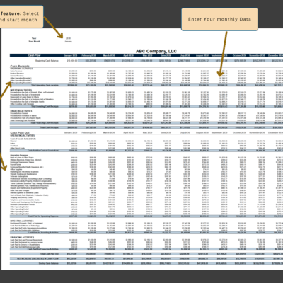 Cash flow data entry: select the start month, enter monthly data, and edit the descriptions.