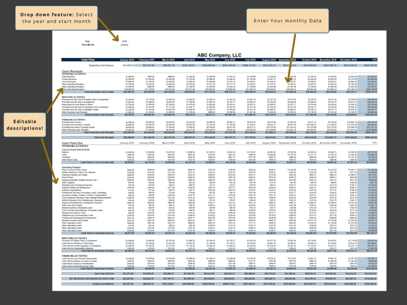 Cash flow data entry: select the start month, enter monthly data, and edit the descriptions.