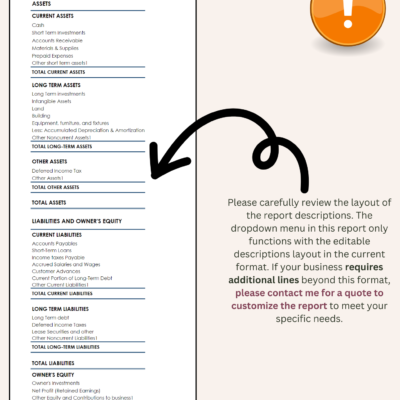 Balance sheet report descriptions can be edited within the current layout. Businesses that need more lines can ask for a quote to customize the report.