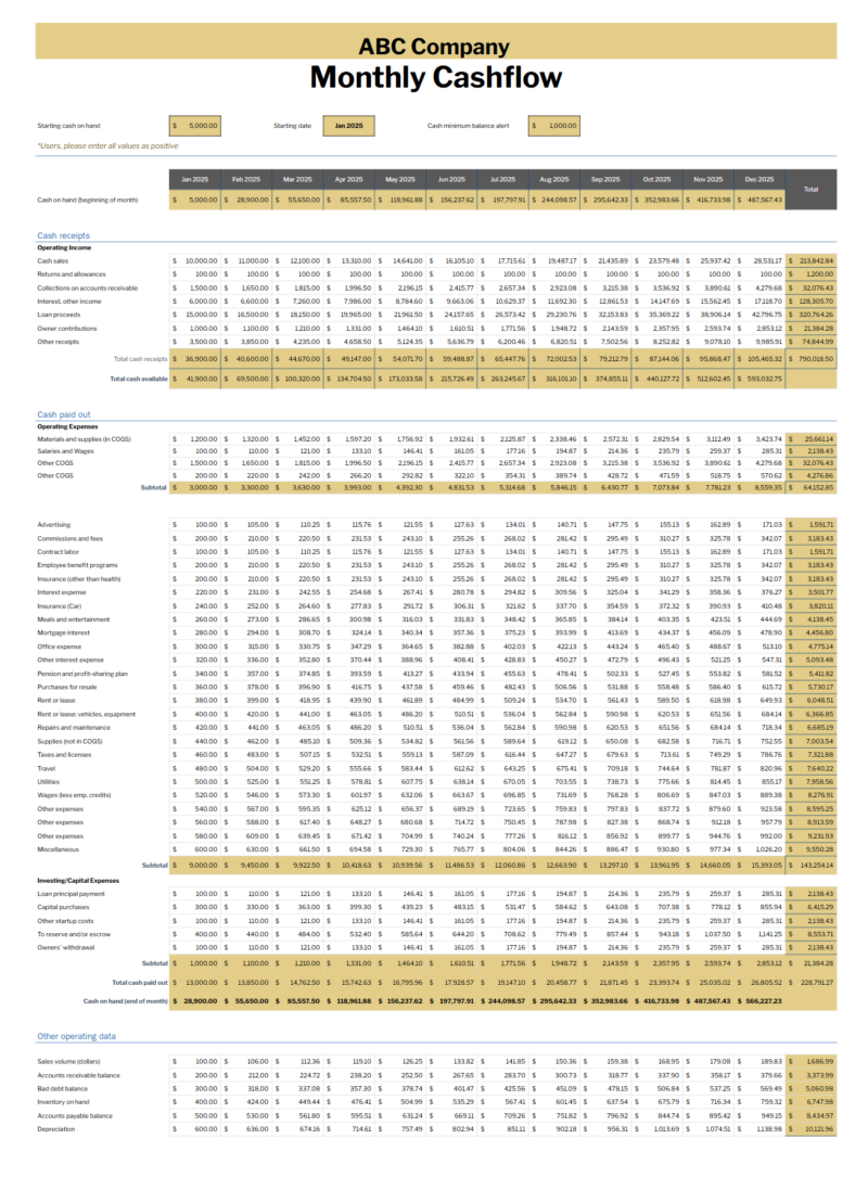 Screenshot 2025-02-27 105156 Monthly cash flow in gold for a sample company, for the full year.