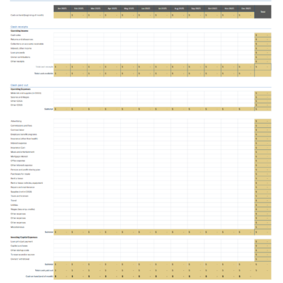 Screenshot 2025-02-27 110613 A blank monthly cash flow template in gold.