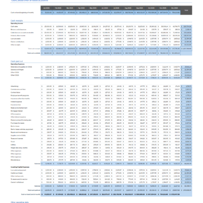 Screenshot 2025-02-27 163146 Monthly cash flow in blue for a sample company, for the full year.