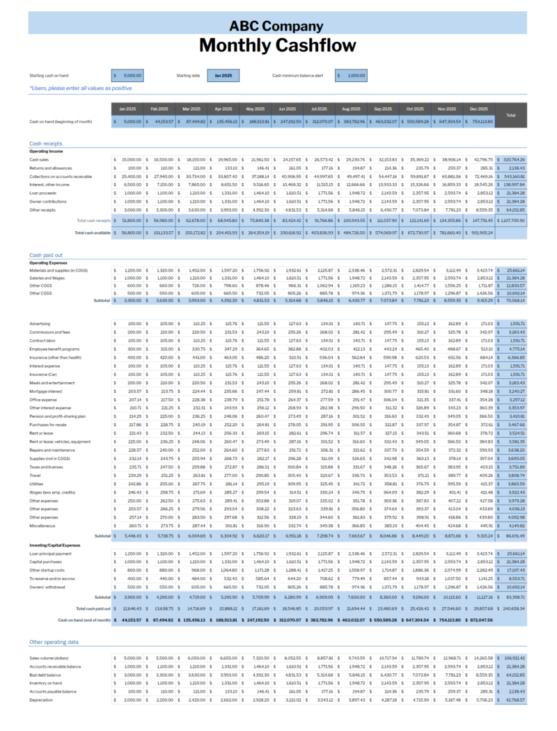 Screenshot 2025-02-27 163146 Monthly cash flow in blue for a sample company, for the full year.