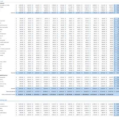 Screenshot 2025-02-27 163309 Monthly cash flow close-up: cash paid out by expense type, investing and capital expenses, cash on hand at the end of each month, and other operating data.