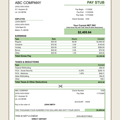 438 Pay stub in green: current net pay, earnings by type, taxes and deductions, and a detachable check-style section.