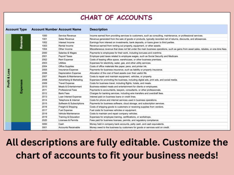 Chart of accounts close-up: all descriptions can be edited to fit your business.