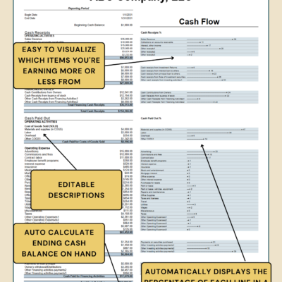 Cash flow statement with notes: each line's percentage is shown visually, descriptions can be edited, and the ending cash balance is calculated.