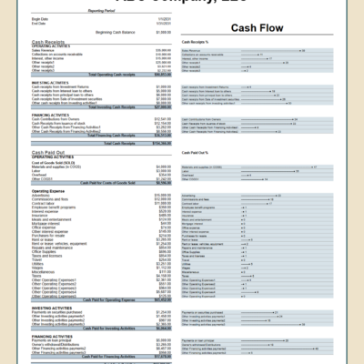 Cash flow statement for a sample company for one period, with each line shown as a percent of its total.