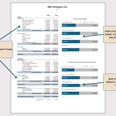 212 Balance sheet comparison with notes: descriptions can be edited, and bar charts comparing assets and liabilities and owner's equity update as you type.