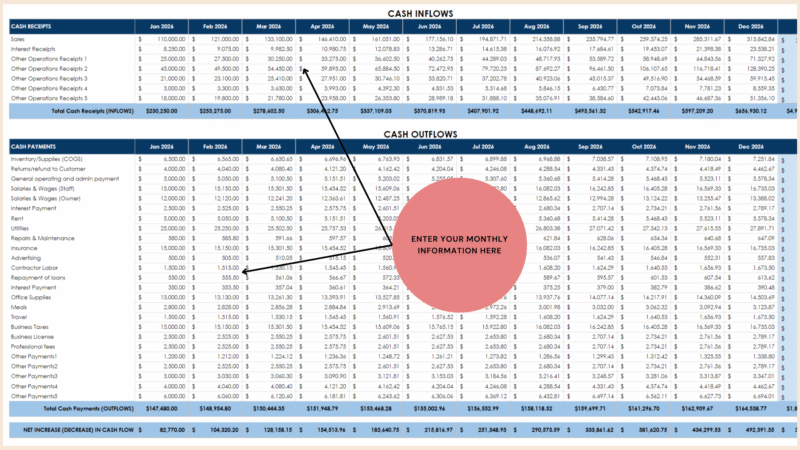 Cash flow statement data: cash receipts and cash payments by type for each month, and the net increase or decrease in cash.
