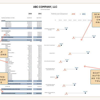 Profit and loss comparison with notes: descriptions can be edited, the ending cash balance is calculated, and the comparison dot chart updates as you type.