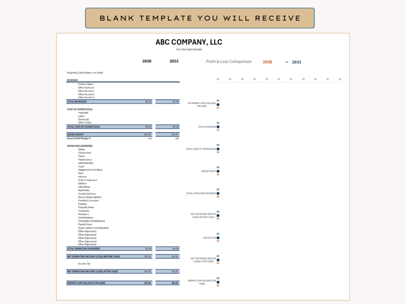 The blank profit and loss comparison template you receive.