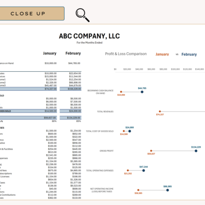 Close-up of the profit and loss comparison: two months side by side, with a dot chart showing the change in each total.