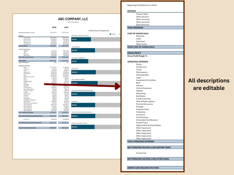 Profit and loss comparison: all descriptions can be edited.