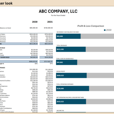 Close-up of the profit and loss comparison: two years side by side, with bar charts comparing each total.