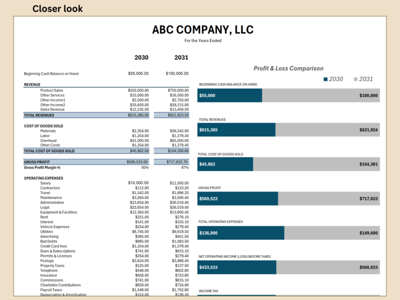 Close-up of the profit and loss comparison: two years side by side, with bar charts comparing each total.